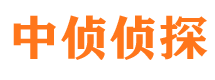 八公山市调查公司